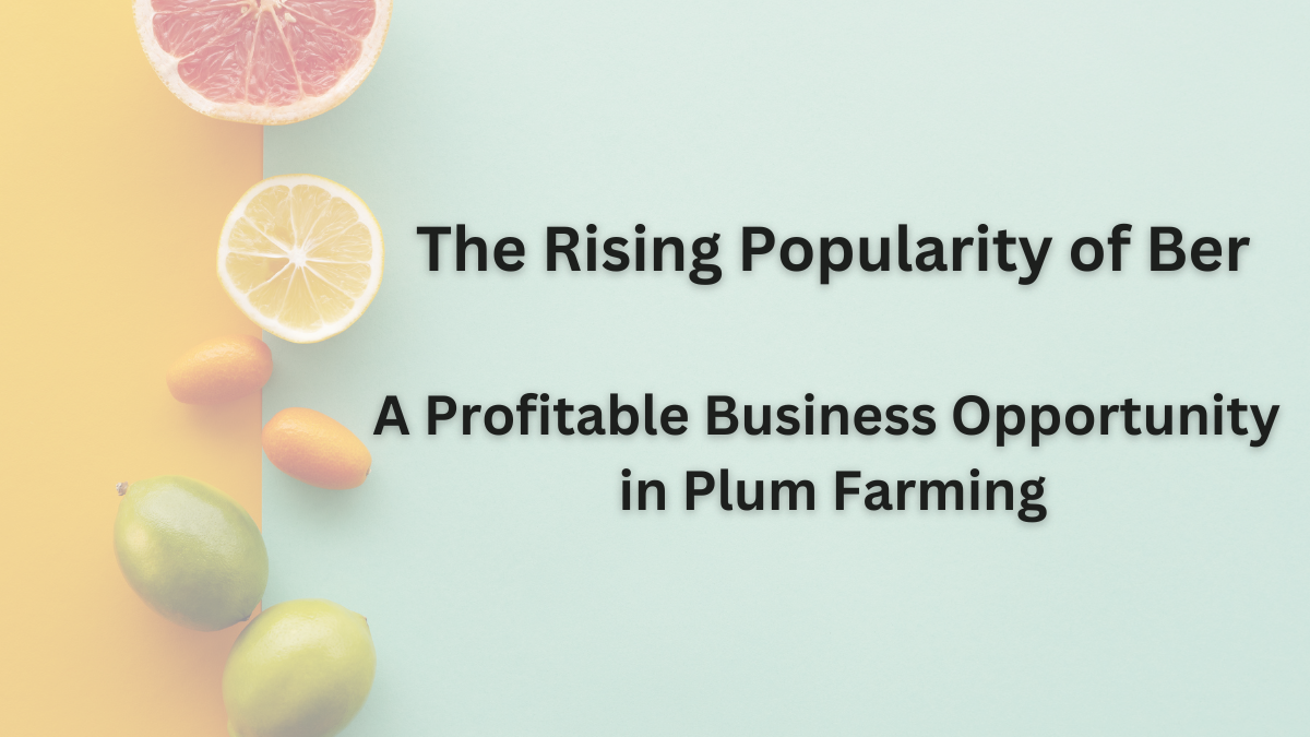 The Rising Popularity of Ber: A Profitable Business Opportunity in Plum Farming